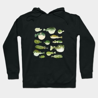 Puffer Fish Hoodie